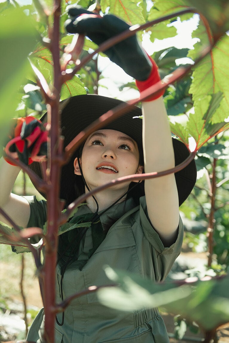 背伸びしないと収穫できないくらいに、空高くまでぐんぐん伸びていました。