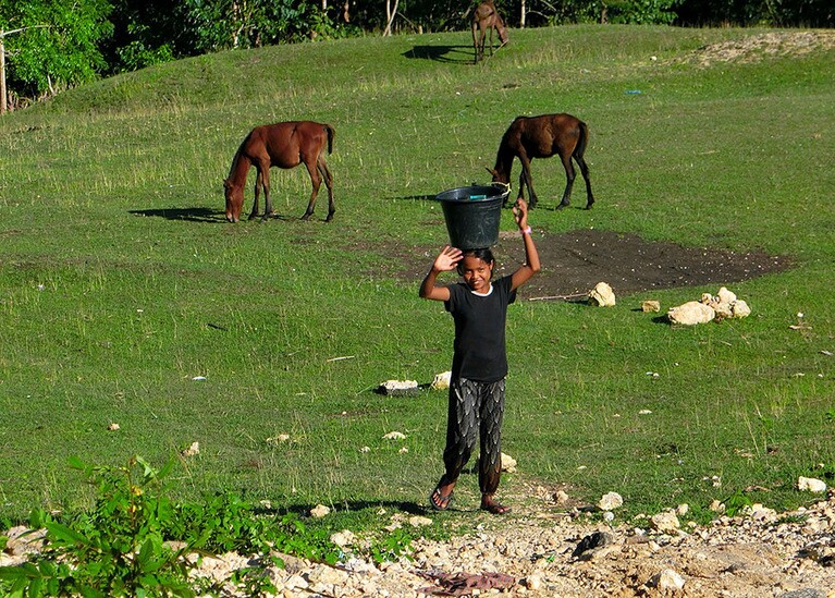 「ダダ―！」。島の言葉で「やっほー！」といいながら、子どもたちが手を振ってくれる。