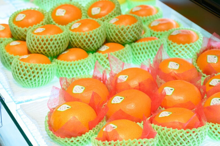 手前がせとか。