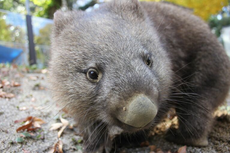 提供：五月山動物園