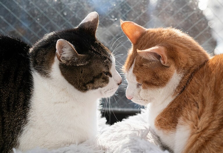 写真：rai/イメージマート