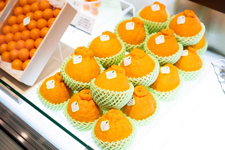 「清見」と「ポンカン」を交配されて生まれたデコポン。