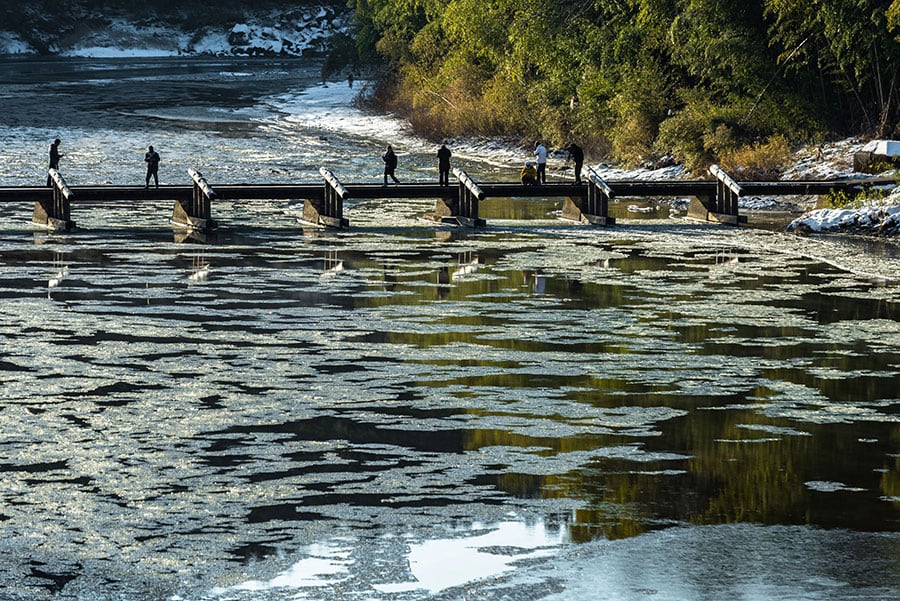 久慈川のシガ。©Zekkei×IBARAKI2018詩歩賞「久慈川の氷花」