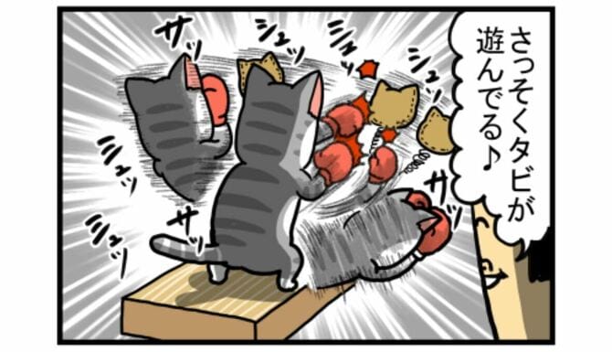 「勝手に遊ぶ系猫のおもちゃ、大体遊ばれない」（2021年12月21日）