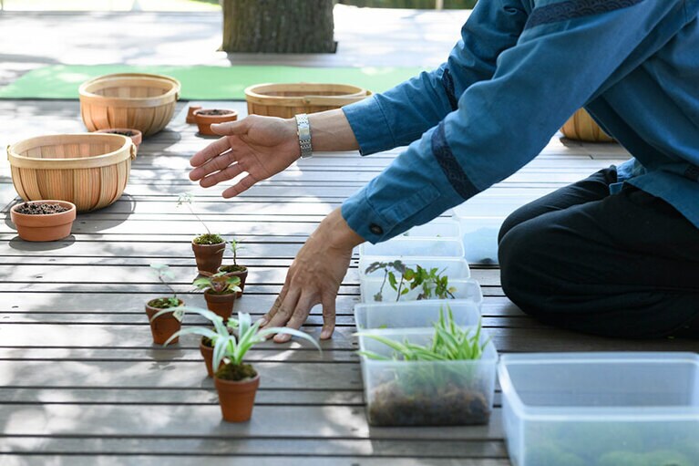 ウォーターガーデンにある苗と苔を使って、世界で一つのオリジナルミニ盆栽作り。