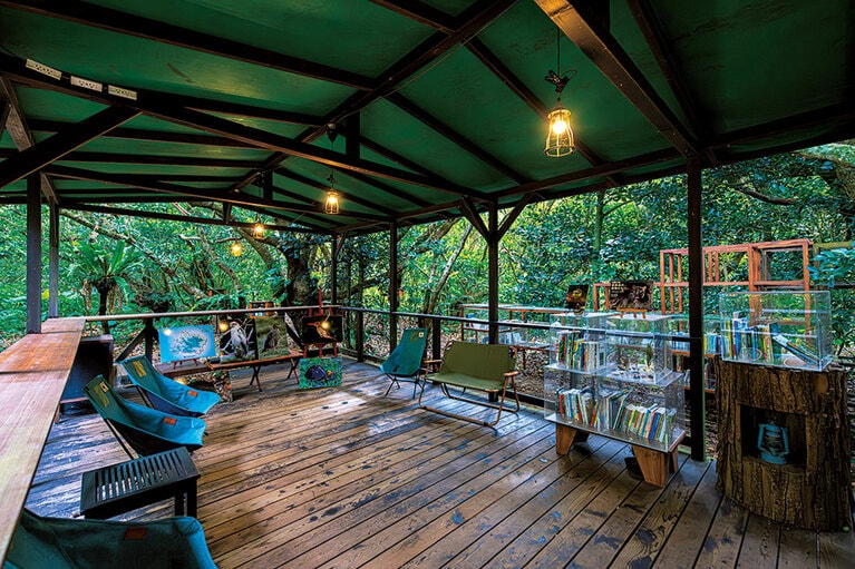 ジャングルKichiとイリオモテジャングル図書館。