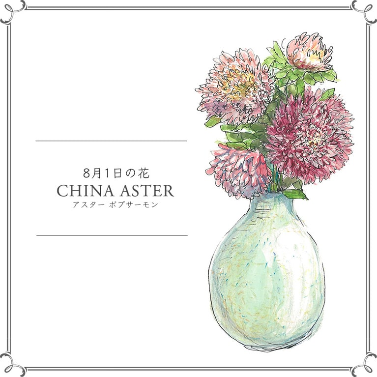 8月1日の花「アスター ボブサーモン」