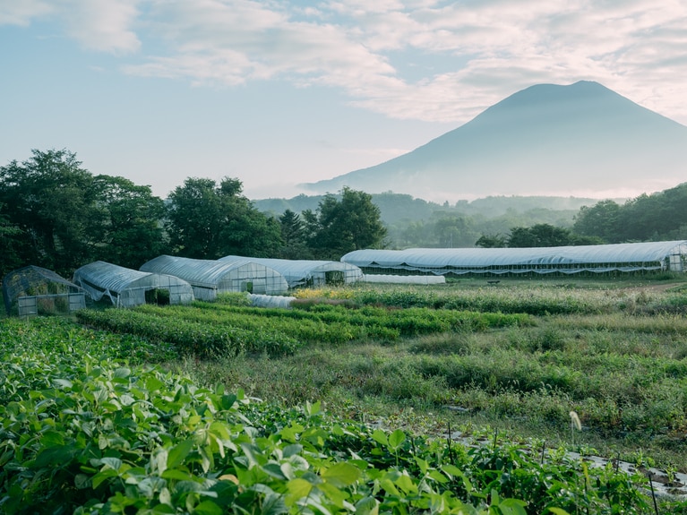 季節の移り変わりに合わせて野菜をつくる。当たり前のことが大切なことなのだ。