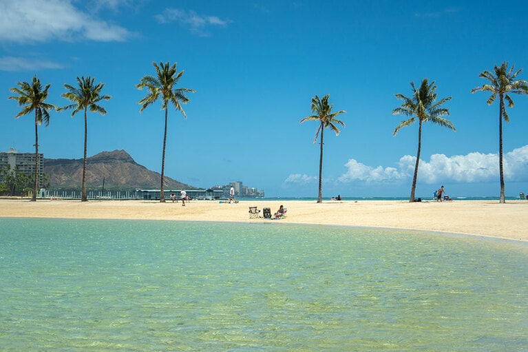 等間隔に並ぶヤシの木がたまらなく絵になる場所。おすすめの撮影スポットです。Photo by Uchida Hisashi