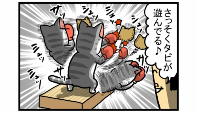 「勝手に遊ぶ系猫のおもちゃ、大体遊ばれない」（2021年12月21日）