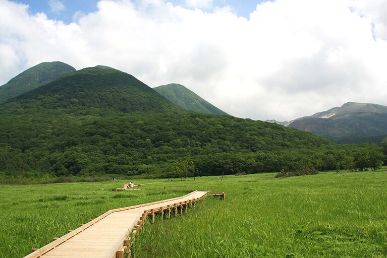 【大分県】タデ原湿原。