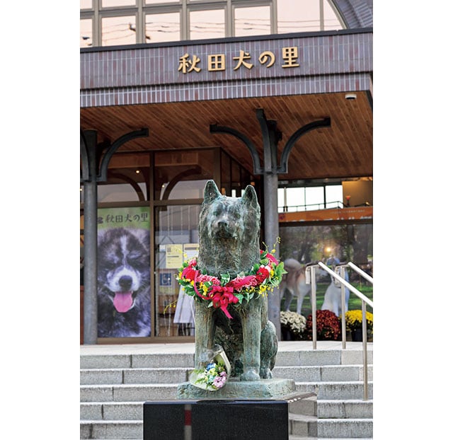 「秋田犬の里」の建物は、大館生まれの忠犬ハチ公が生きた時代の渋谷駅がモデル。