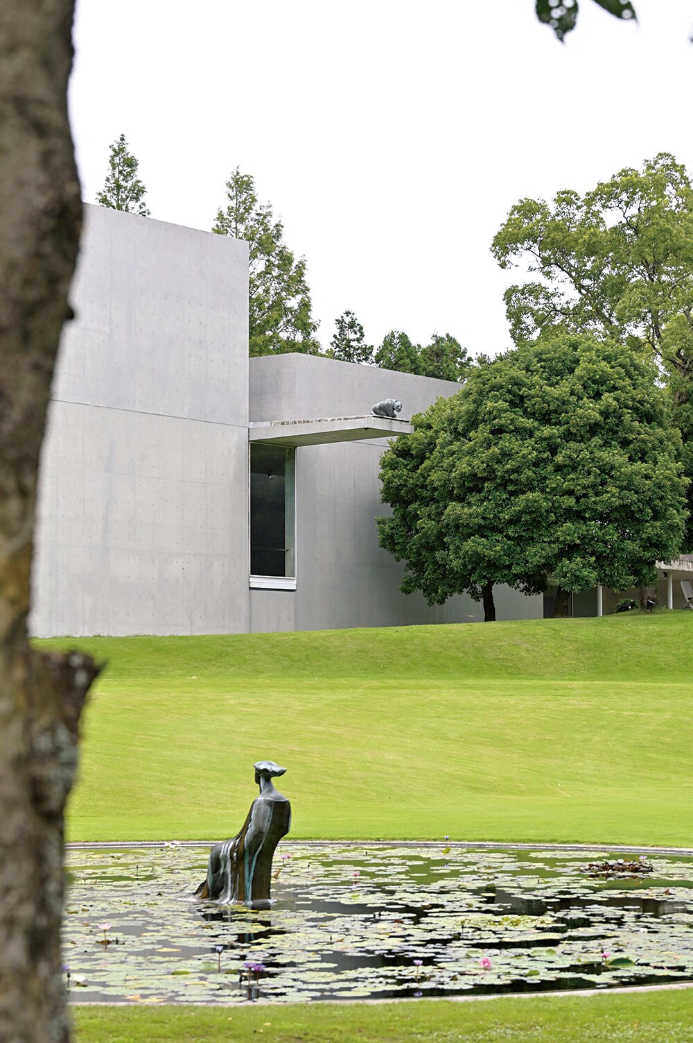 img_f151c038c7171fb41093d91a29