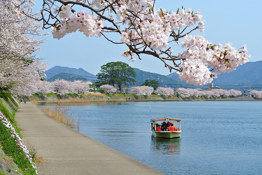 【山口県】萩八景遊覧船。