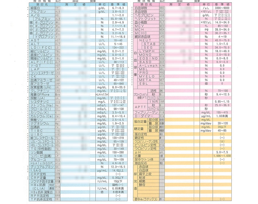 検査項目の多さに注目！　他に甲状腺やタンパク質に関する項目も別紙で報告されました。