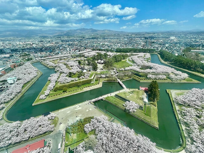 北海道 2024年版】春の絶景・風物詩10選 五稜郭公園星型のお堀が桜の