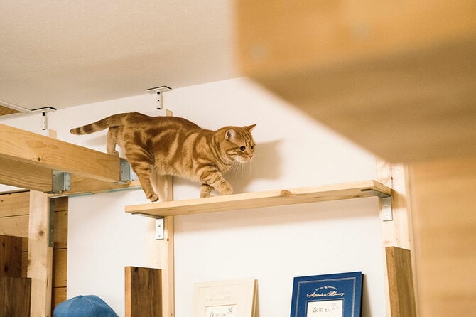 会長”は相方よりもザ・森東なヤツ」 愛しさ全開！さらば森田が愛猫を