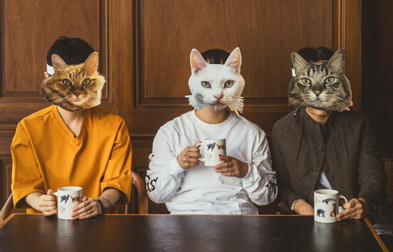 左から：熊坂さん、伊東さん、清水さん。猫と服の色のコーディネートにも注目。