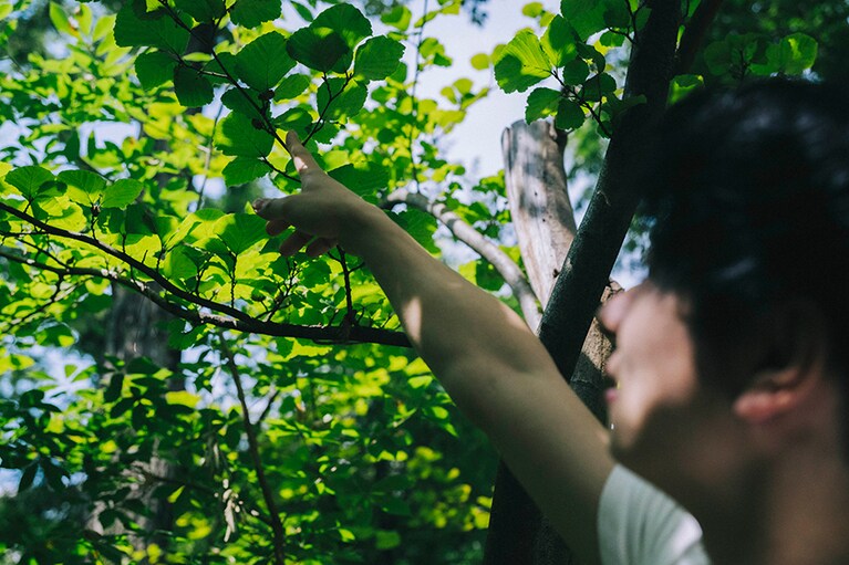 牧野博士が命名したニシキマンサクの実を指差す佐藤さん。