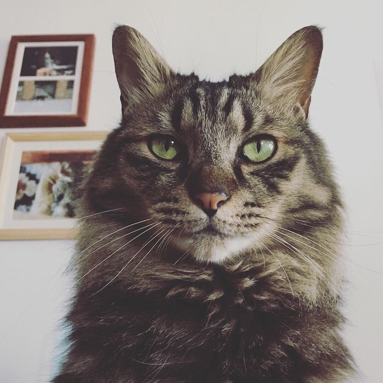 瞳孔で表情がこんなに変わる！