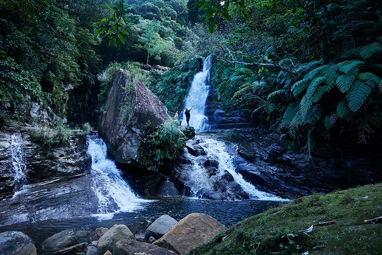 西表石垣国立公園内の自然豊かな場所にあり、全室が浜辺に面しているリゾート。約70％が世界自然遺産のジャングルという島の魅力を体感できるアクティビティが充実。写真はナーラの滝が見られるトレッキングツアー。