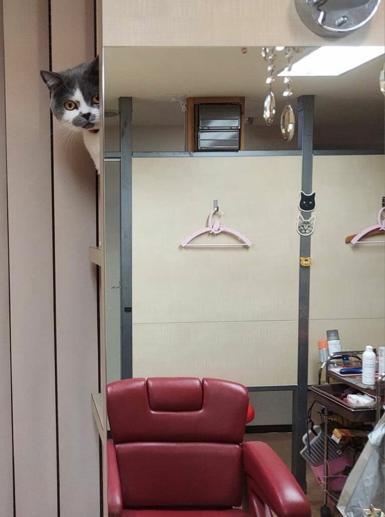 パール ♀ 2歳。