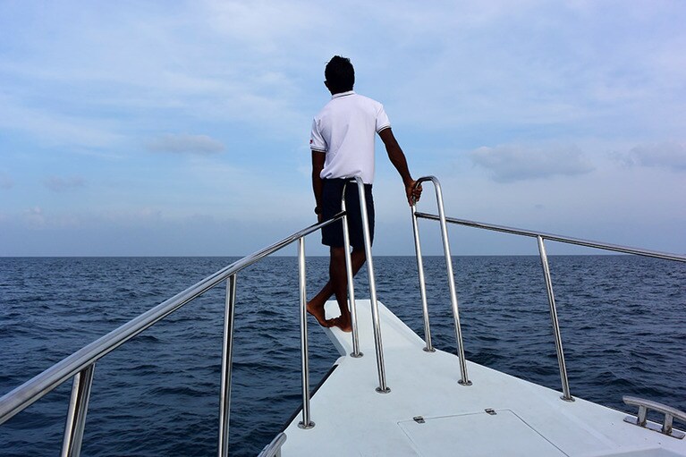 大型クルーザーで洋上へ。スタッフがイルカの背びれを探します。