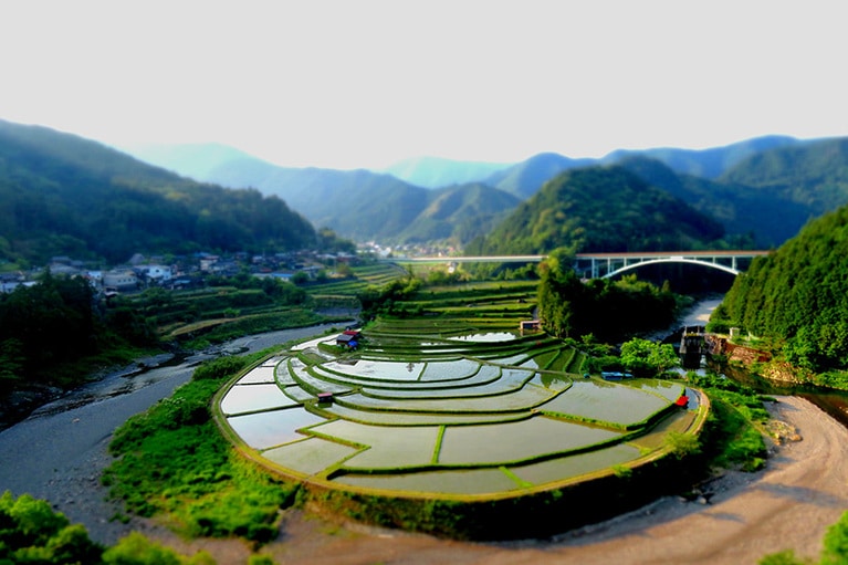 あらぎ島／和歌山県