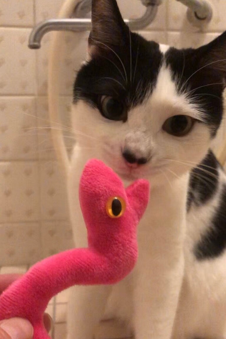 分 ♀ 4歳4カ月。構って欲しくてヘビさんのぬいぐるみを何度も持ってきます（テンテンプラスさん）