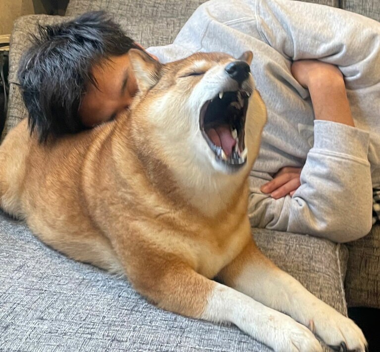 うちの子ベストショット③「よく一緒に昼寝してます！」(尾形さん)