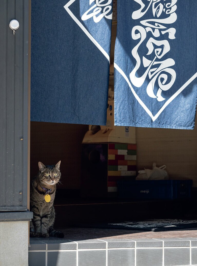 開店直後は、玄関にいることが多い。
