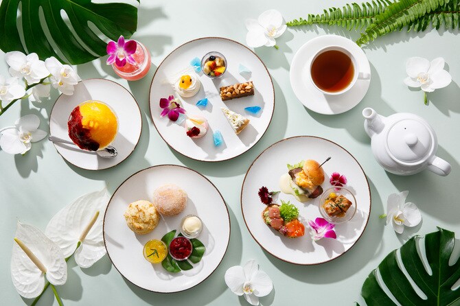 希少新品menu チルドレンセットデンマーク