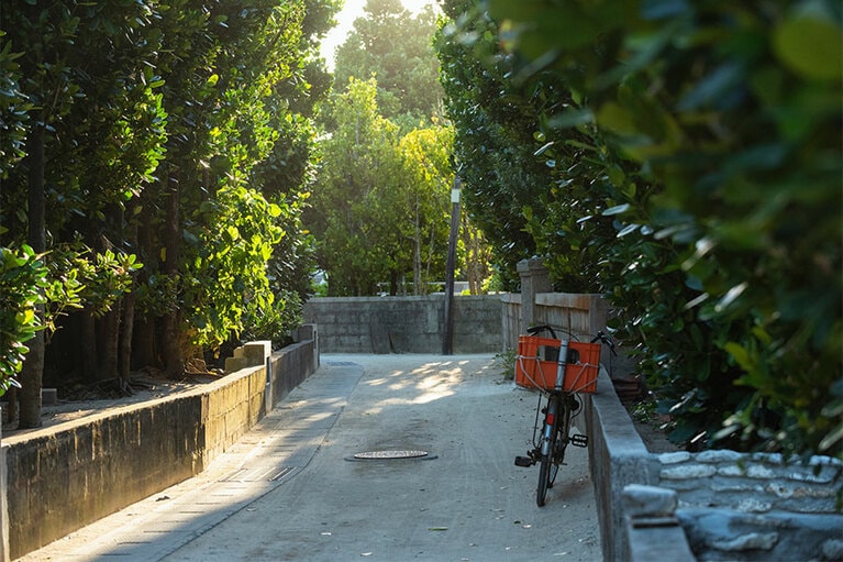 同じような高さのフクギ並木、同じように見える民家が続く、渡名喜の集落。たとえば道を聞くと、「4本目の辻を右、それから3本目の辻を左」という説明。©渡名喜島