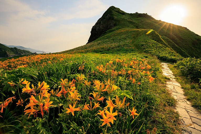 【新潟県】大野亀。