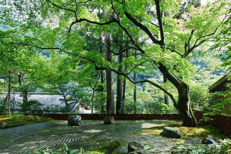 星のや京都の奥の庭は、青もみじが日差しを和らげ、清流の川面を渡った爽やかな風が吹く。エアコンの冷気で身体に負担をかけるのではない、こんな涼の取り方もある。