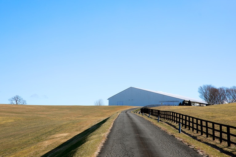 紗栄子さんも通るたび幸せと感じる牧場の道。 息を吞む美しさに瞬時に心が解き放たれる。