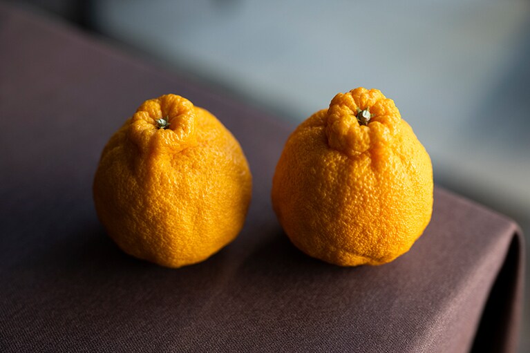 「清見」と「ポンカン」を交配されて生まれたデコポン。