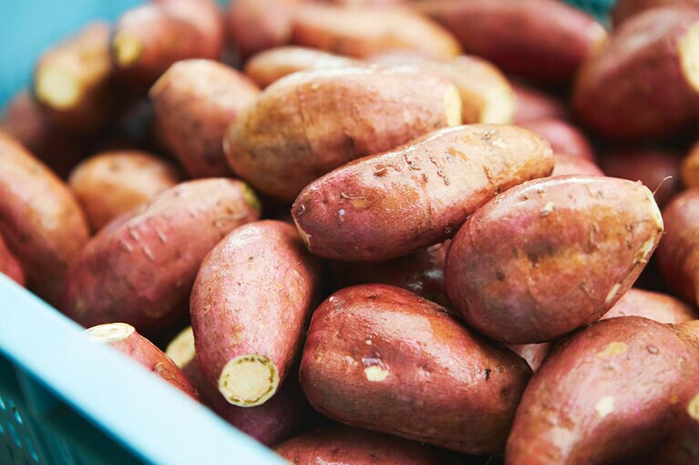 自社の畑と契約農家のみで栽培される「ごと芋」。