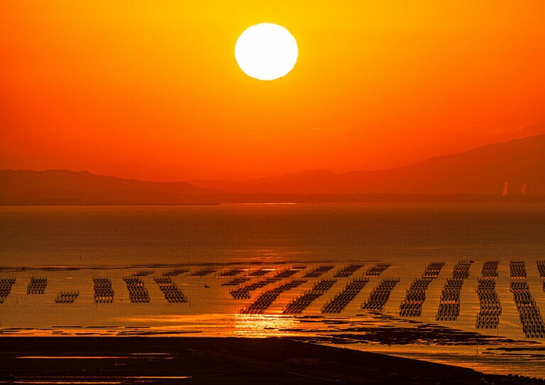 桜の里から見る朝日。