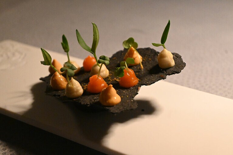 アミューズブシェの「チャコール・クリスピー・ブレッド」。炭を練り込み、薄く焼いたパンの上にニンジンやケイパー、ヒヨコマメのフムスなどがのったユニークな一品。