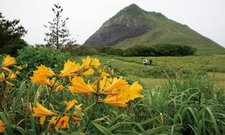 長い年月をかけてつくられた大野亀。日本海に向かって突き出している巨岩。