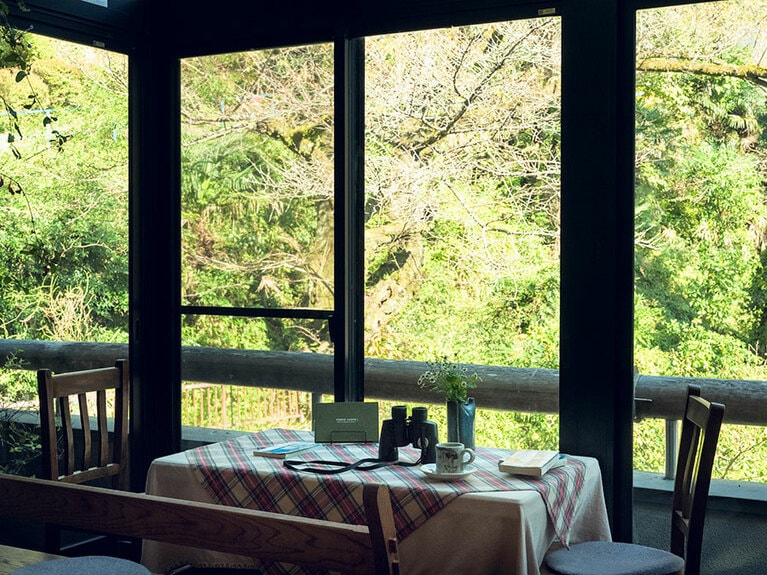 窓からはスモモやタラの木、ヤマザクラなど季節の草木が楽しめる。