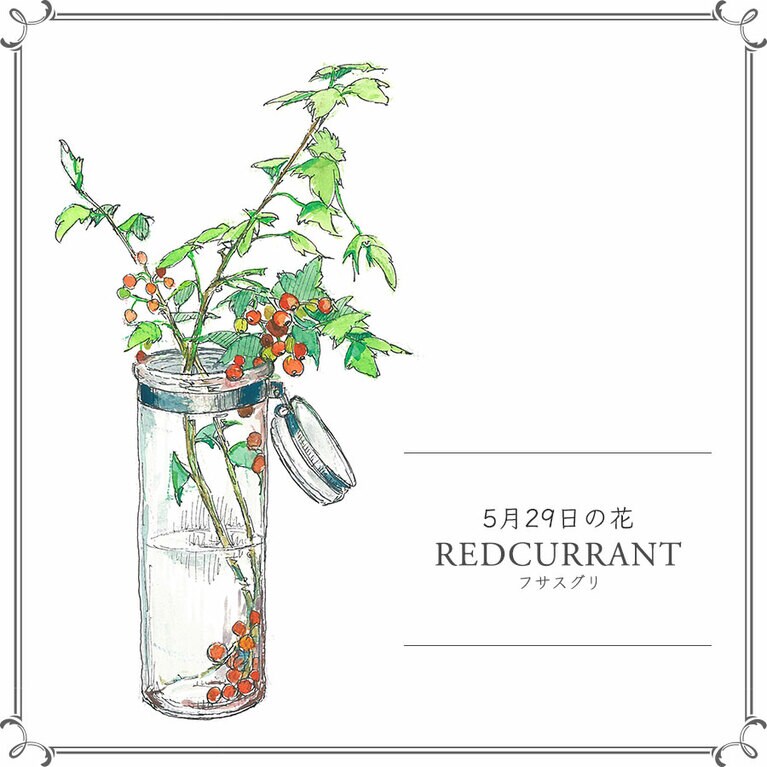 5月29日の花「フサスグリ」