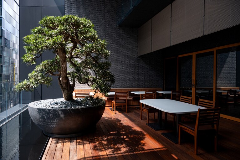 テラス席も夏まっさかり。