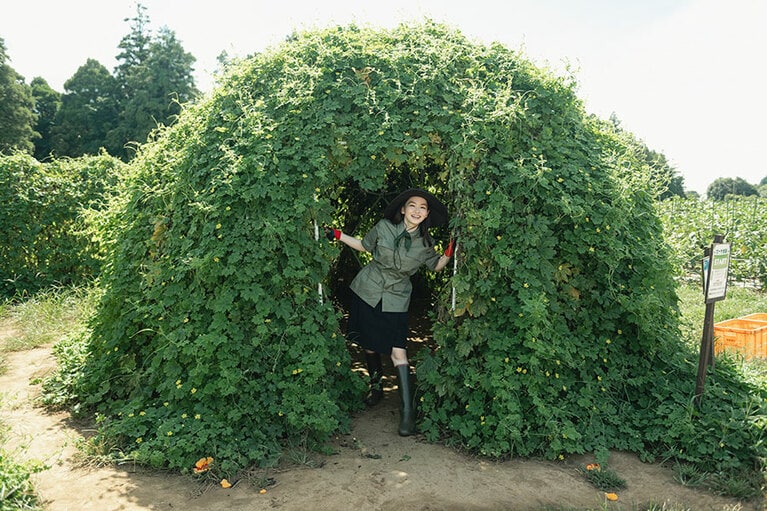 ゴーヤ迷路に驚く山田さん。無事出れるかな？