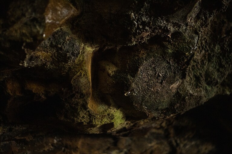 昼間はただのゴツゴツとした岩肌ですが……。