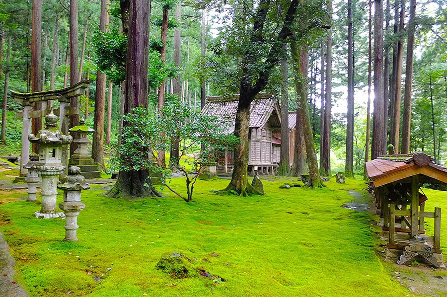 ［苔の里］苔の庭のなかにたたずむ日用神社。この地を訪れることができた幸福に感謝してお祈りを。