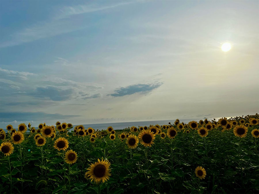 《熊本県 ~夏の絶景・風物詩10選~》夕日が三日月形の海を橙に染め、時に七色に輝く「御輿来海岸」 | 今こそ行きたい! 「日本にしかない風景 ...