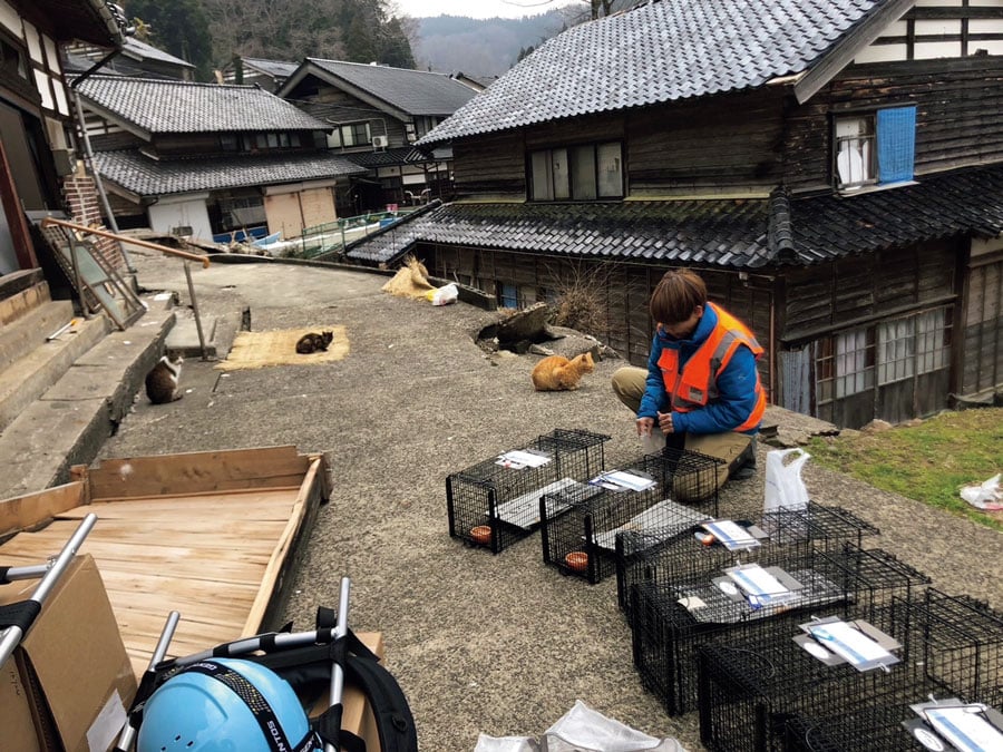 輪島市別所谷町。住民避難後、集落に残された全ての猫を救助した。