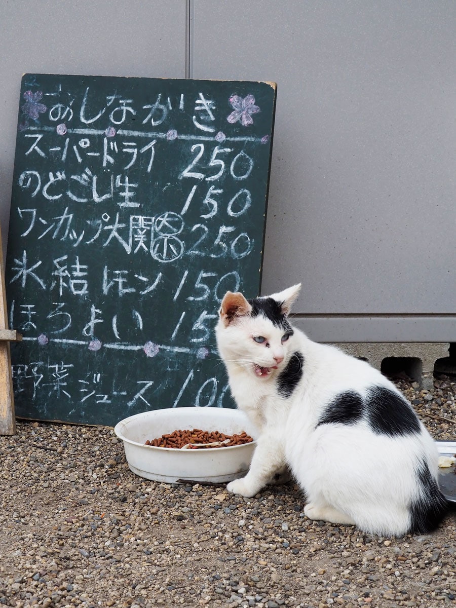 「大将～！ さっき頼んだワンカップ大関はまだかニャァ～？」